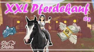 8 Pferde kaufen 💸 / XXL Pferdekauf #2 / SSO / YouLine