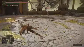 Elden ring pvp bow only