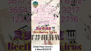 【Daily Piano Secret】《貝多芬病毒》#Beethoven Virus#Easy Piano # A Minor簡譜教學#Easy Piano#盼望愛#Daily Piano