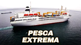 Pesca Extrema en el Barco Factoría de Pescado Más Grande (Episodio 2) | Documental
