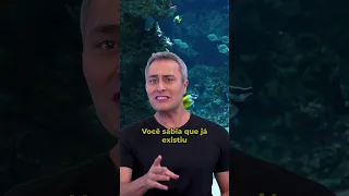 Esse ANIMAL FALA como um HUMANO