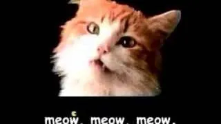 Meow Mix song