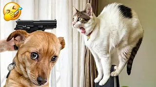 Try Not To Laugh😬🐶Funniest Cats and Dogs 2024🐕