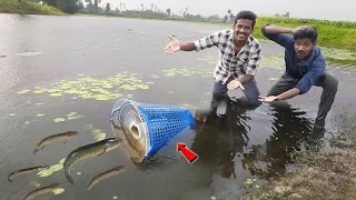 Unbelievable.! Fishing Trap 🎣 | Using with Fan Guard | இவ்ளோ நாள் இது தெரியாம போச்சே | Fishing