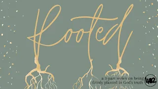 402 Series | Rooted (Part 1)
