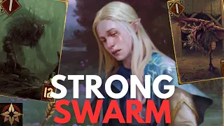 GWENT | 2024.03 | Monsters | Arachas Swarm - This deck will take You to PRO RANK ! Sergiej's request