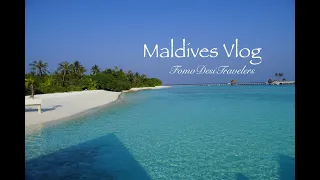Maldives Vlog | Day 3 at Overwater Bungalow | Snorkeling with baby sharks #maldives