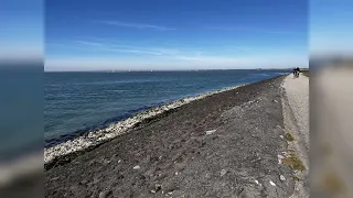 Oosterschelde zomervisserij stekken zeebaars, makreel en geep.