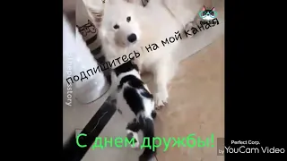 С день дружбы