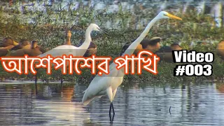 Field trip to a local wetland. A birder’s perspective.