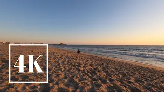 ASMR 🎧 Santa Monica Beach -Sunset- 🌆 3D Binaural Ocean Wave Sound 🌊