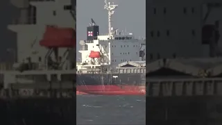 Ship in Heavy Storm - Freighter Shipspotting
