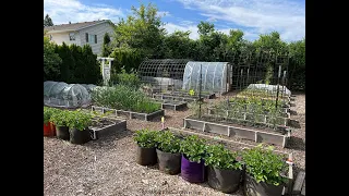 Vegetable Garden Tour #2: Everyone Can Grow a Garden (2023 - #22)