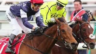 Emirates Melbourne Cup 2016: Heartbreak City