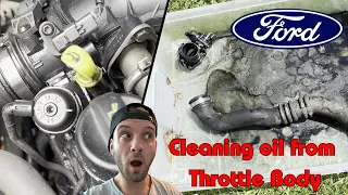 EGR Blanking and Throttle Body cleaning (Ford Mondeo)