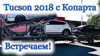 Авто из США - Hyundai Tucson 2018. Встреча и стоимость покупки авто с Копарта. Автобизнес.