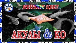 АКУЛЫ деагостини МЕНЯЮТ ЦВЕТ (макси и ко)  НОВАЯ ВЕРСИЯ 2019