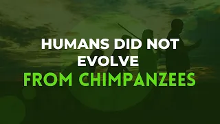 Why Humans Did Not Evolve from Chimpanzees or Monkeys