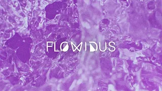 Flowidus & Lauren L'aimant - Save Us