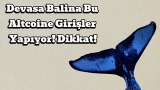 Devasa Balina Bu Altcoine Girişler Yapıyor! Dikkat! | Kripto Haber.