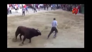 Best Funny Bullfighting Best BULL Attacks Funny Videos Compilation 2016 - Funny Bull Attacks