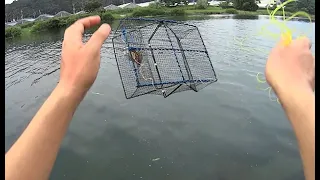 Unbelievable Catch in Crab Net Set in River!