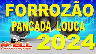 FORROZÃO  PANCADA LOUCA 2024 - CD COMPLETO