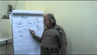 Лекция Алименко А.Н. «Не так страшно ОРЗ, как его последствия»