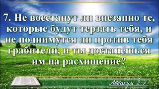 ВидеоБиблия Книга пророка Аввакума с музыкой читает Бондаренко