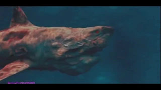 all ATOMIC SHARK scenes