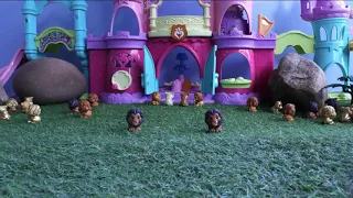 Lion King March "Simbas Pride" - Toy Cartoon Stop Motion