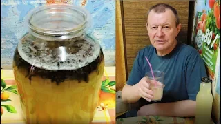 Живой квас 🍺 из Иван-чая на берёзовом соке с мёдом. Russian tea.