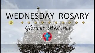 Wednesday Rosary • Glorious Mysteries of the Rosary ❤️ April 17, 2024 VIRTUAL ROSARY -MEDITATION