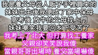 我是養父母從人販子手裡買來的 妹妹出生後我便成了家中保母 高考後 父母找上門 妹妹嘲笑我要回乡下受苦了 #心書時光 #為人處事#生活經驗#情感故事#唯美频道