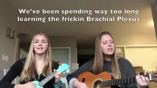 Brachial Plexus Song