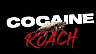 EP 049: Cocaine Roach / Rober Parham