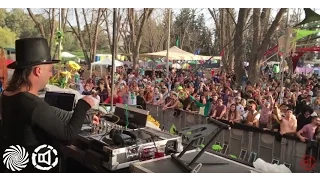 LOUD @ Groove Attack + Psilosiva - Purim 2017