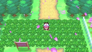 Upbeat Pokemon Route Music for a Stroll