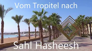 From Tropitel to Sahl Hasheesh (Hurghada-Egypt) 2023 on foot or by bike (𝟒𝐊)