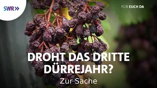 Kommt das dritte Dürrejahr in Folge? | Zur Sache! Baden-Württemberg