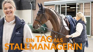 Wie ist es STALLMANAGERIN in einem internationalen Springstall zu sein? 🤩🐴 Ein Tag bei Hetzel Horses