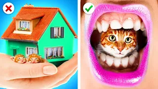 Eu Adotei Uma Gatinha De Rua! Construindo Um Quarto Secreto Para Gatinhos por Zoom Go!