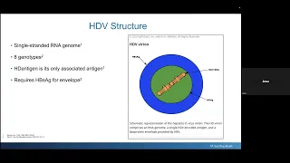 A Brief Overview of Hepatitis D Virus Infection