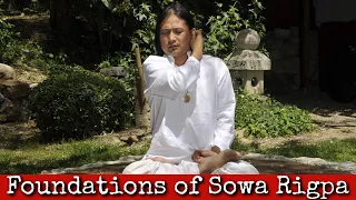 Ep240: Foundations of Sowa Rigpa - Dr Nida Chenagtsang