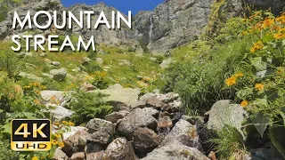 4K Mountain Stream - Relaxing Water Sounds - No Birds - Ultra HD Nature Video - Sleep/ Study/ Yoga