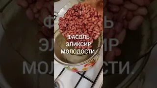 ФАСОЛЬ ЭЛИКСИР МОЛОДОСТИ.