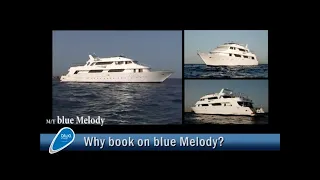 Blue Melody - Egypt Liveaboard