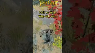 Wolf vs Wolf who will win...???