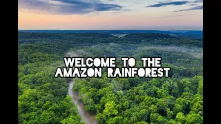 Welcome to the Amazon! 🌴🇧🇷  Amazon Jungle Tours | Off Roads Travel (Better in 4K & subtitles on)