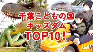 【子供の遊び場】千葉こどもの国キッズダムアトラクションTOP10で大人も子供も大満足！